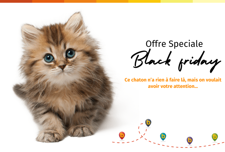 Une PROMO record pour le Black Friday !